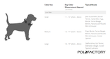 Polo Dog Collar